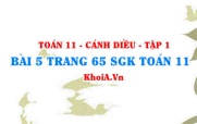 Bài 5 trang 65 SGK Toán 11 tập 1 Cánh Diều